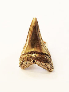 Shark Tooth Ring